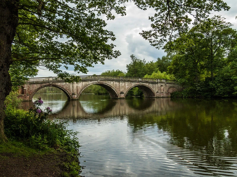 Clumber Park Bridge by Forensic Bassicology