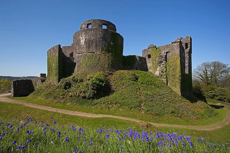 Dinefwr Castle by dave-pemcoastphotos.com