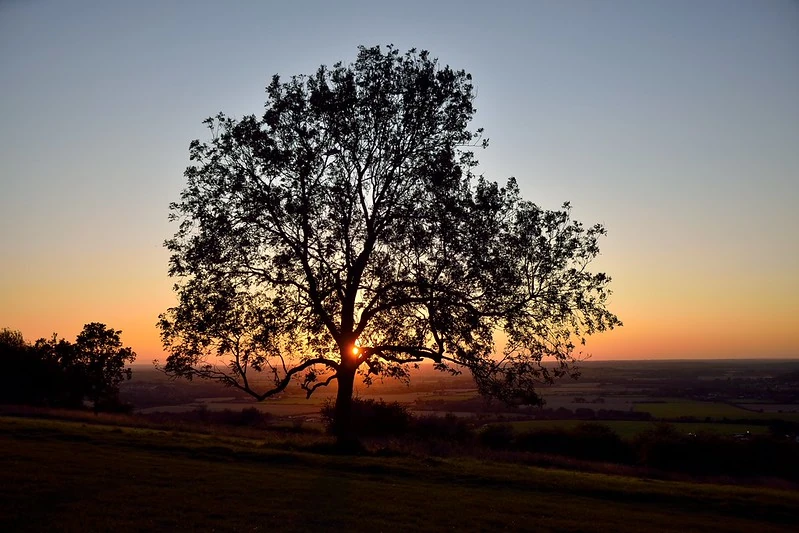 Dunstable Downs by 35mmMan